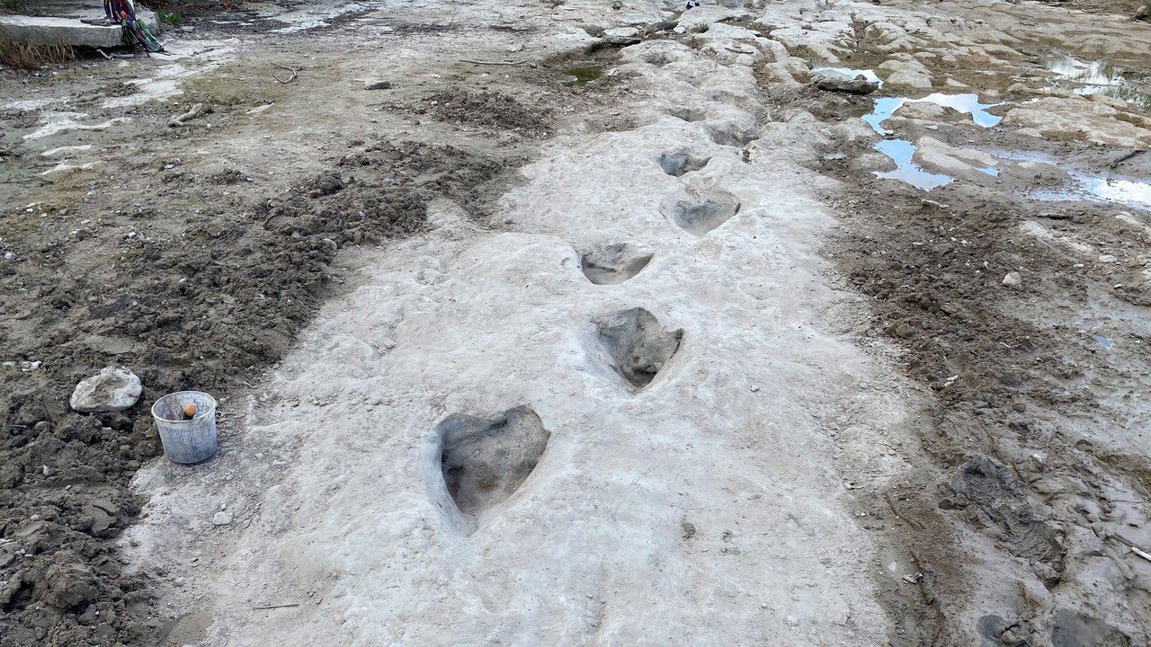 texans-flock-to-glen-rose-to-walk-alongside-dinosaur-tracks